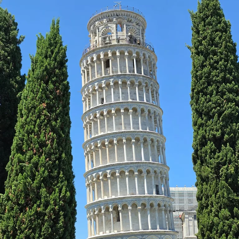 The Leaning Tower of Pisa between cypress trees