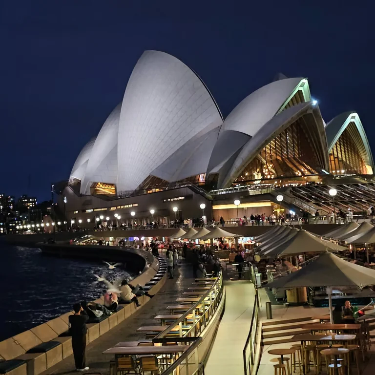 The Sydney Opera House beside the harbor at night