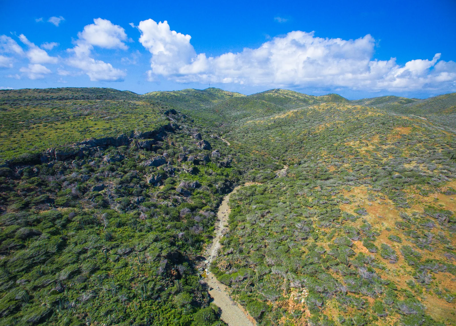 A rugged trail winding between scrub-covered hills
