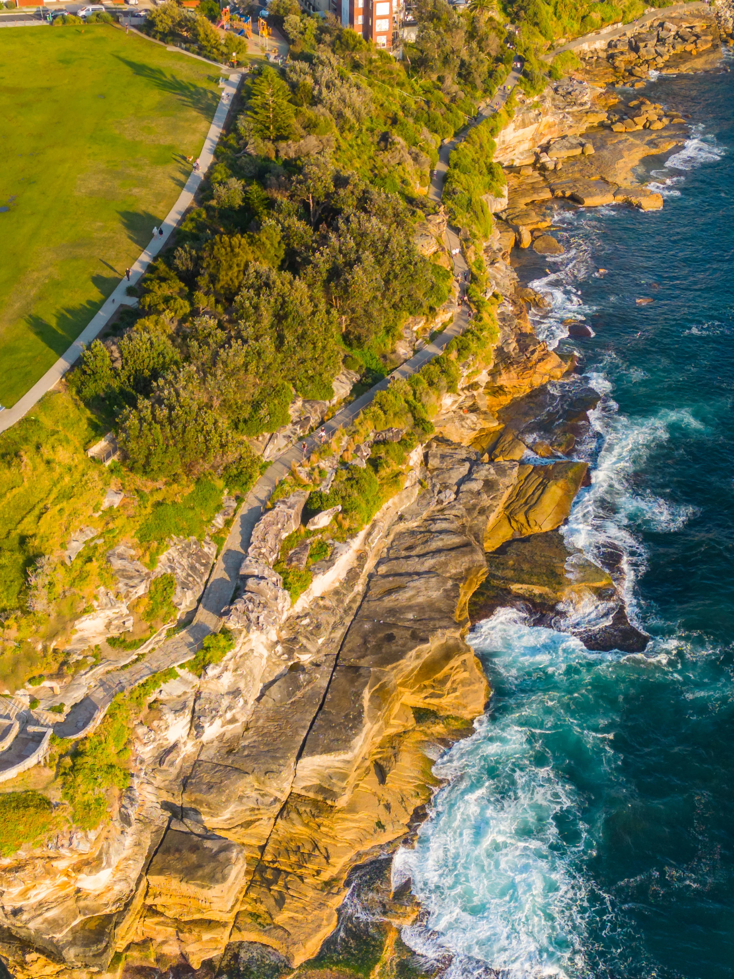 Walkers following a coastal path beside rocky cliffs and blue water in Sydney