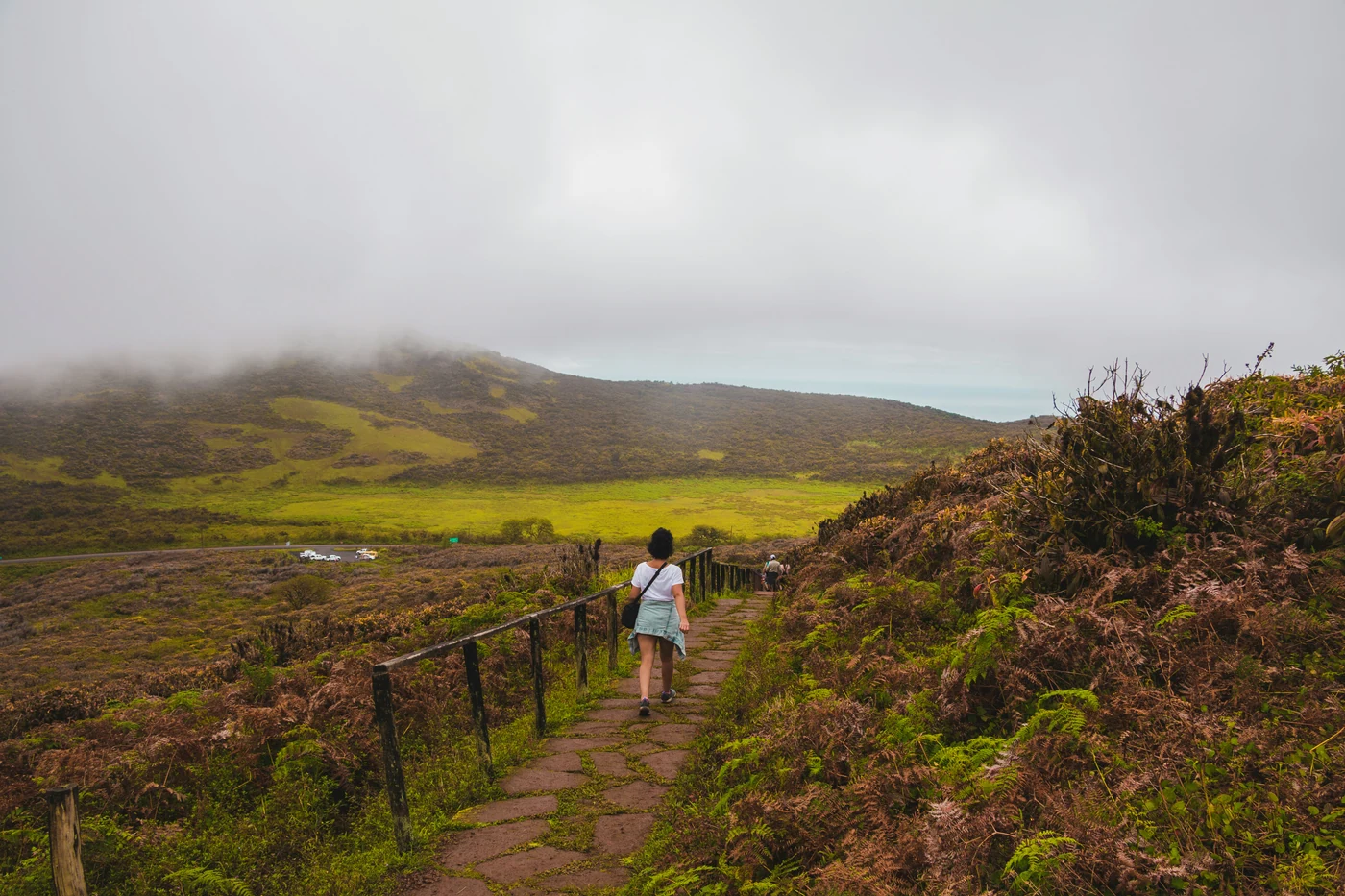 A traveler walking through a misty volcanic landscape