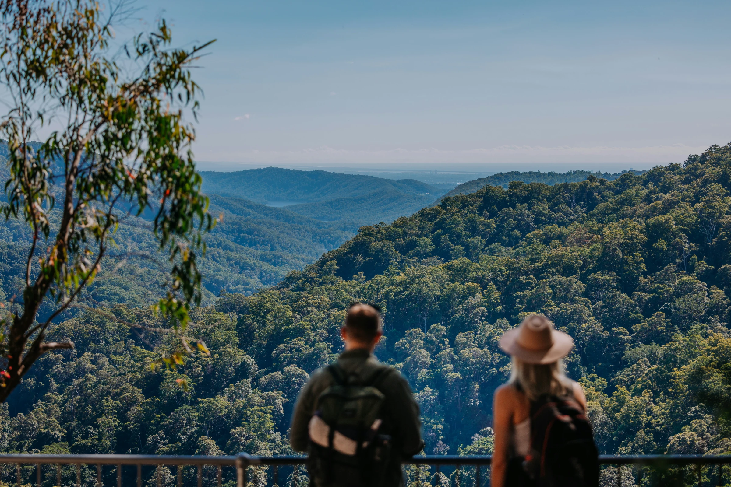 Two walkers looking across forested valleys in the Gold Coast hinterland