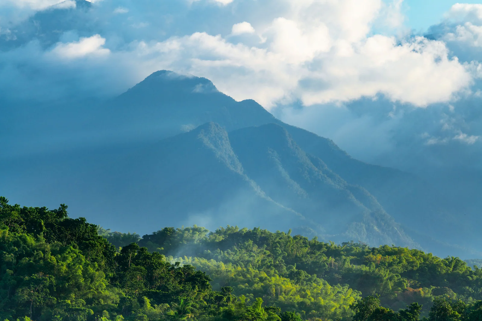 Layers of forested mountain ridges rising into low clouds