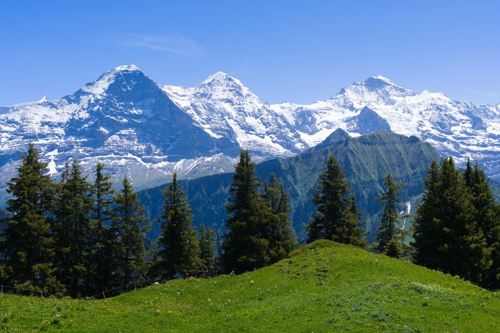 Snow-covered peaks above a green alpine meadow in the Jungfrau region