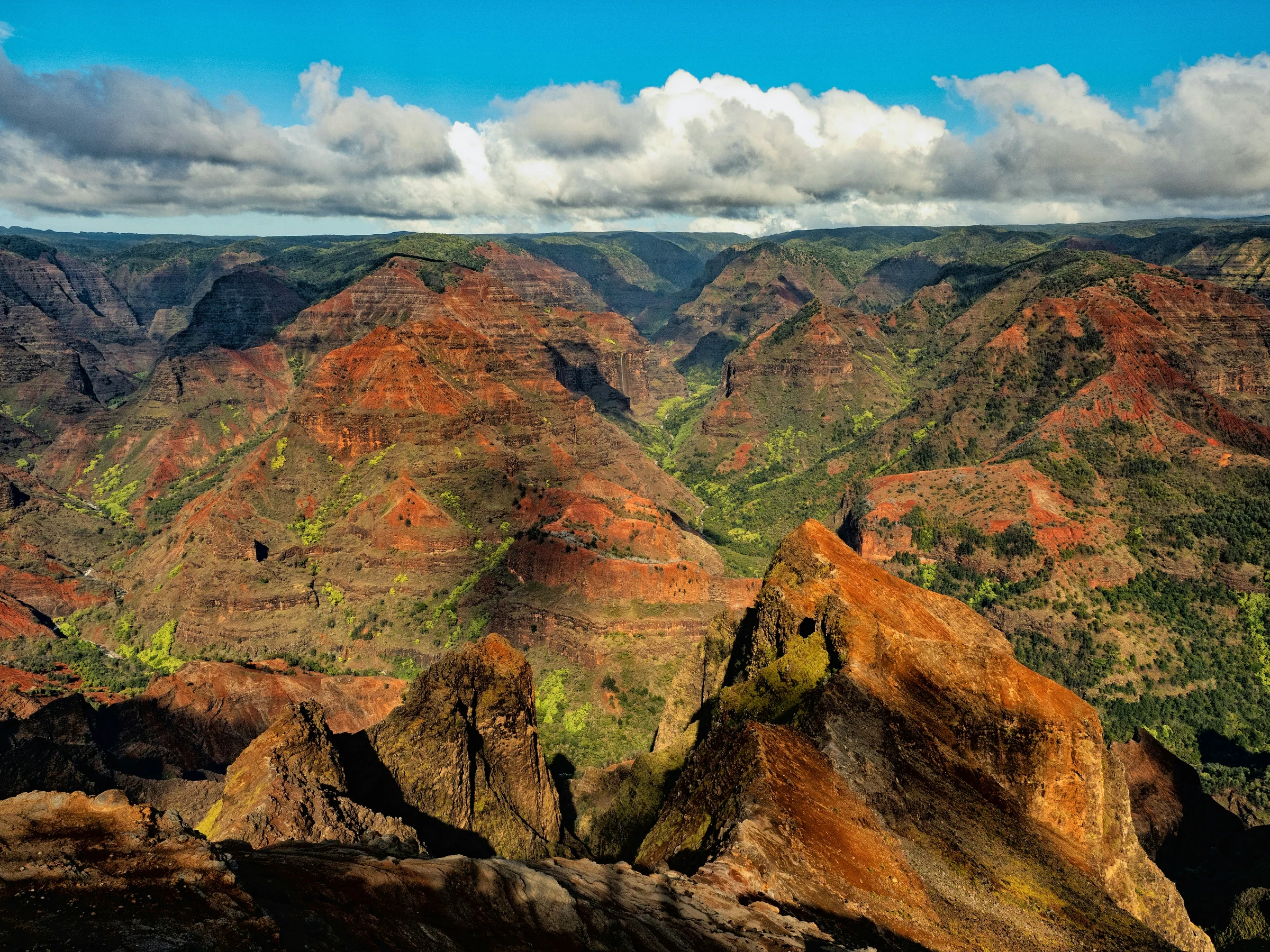Red cliffs and green valleys of Waimea Canyon on Kauaʻi