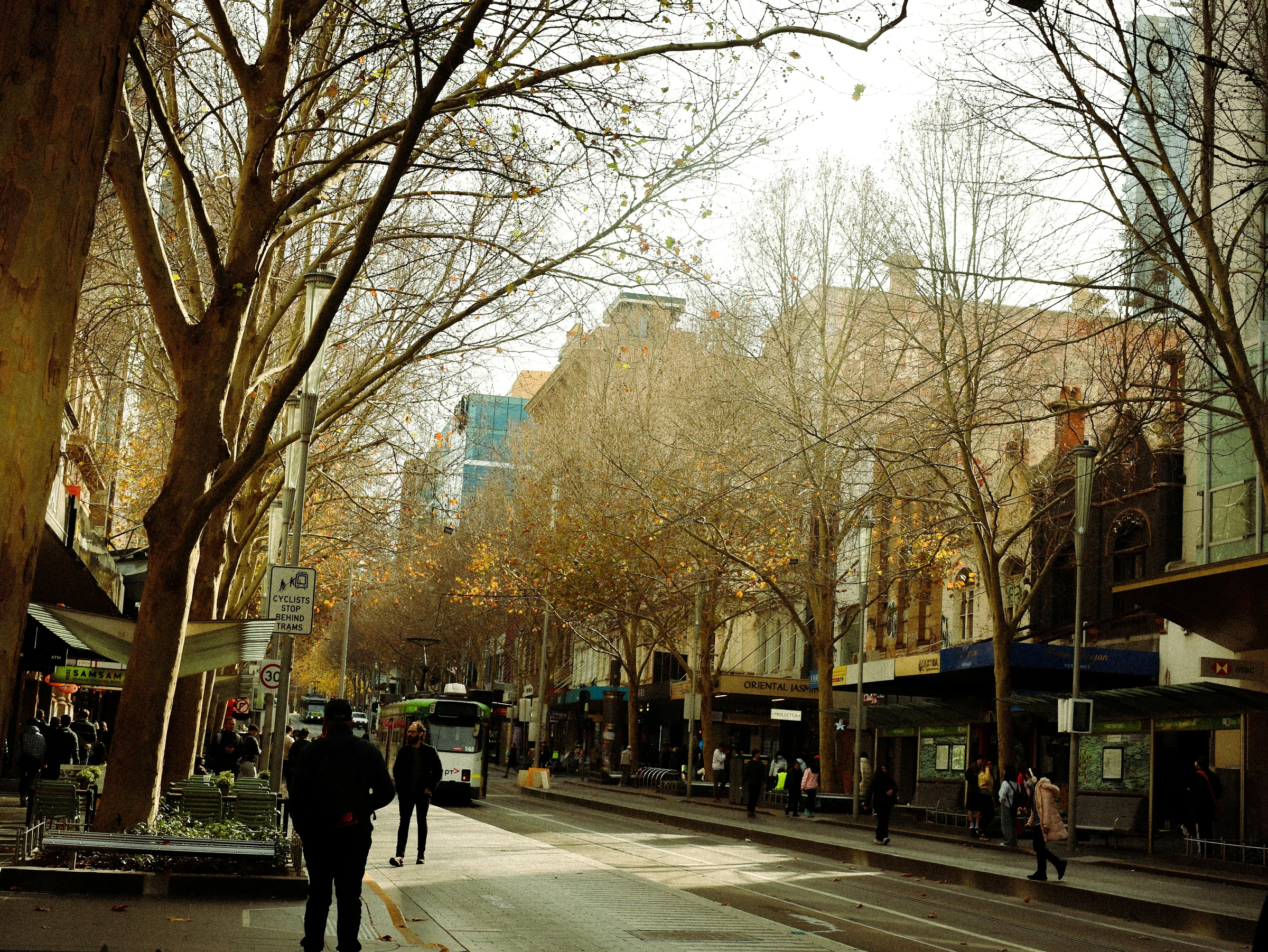 Pedestrians and a tram on a tree-lined Melbourne street