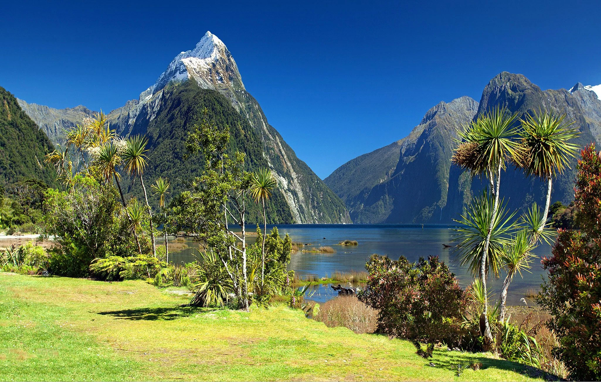 Mitre Peak above Milford Sound, framed by waterfront trees and mountains