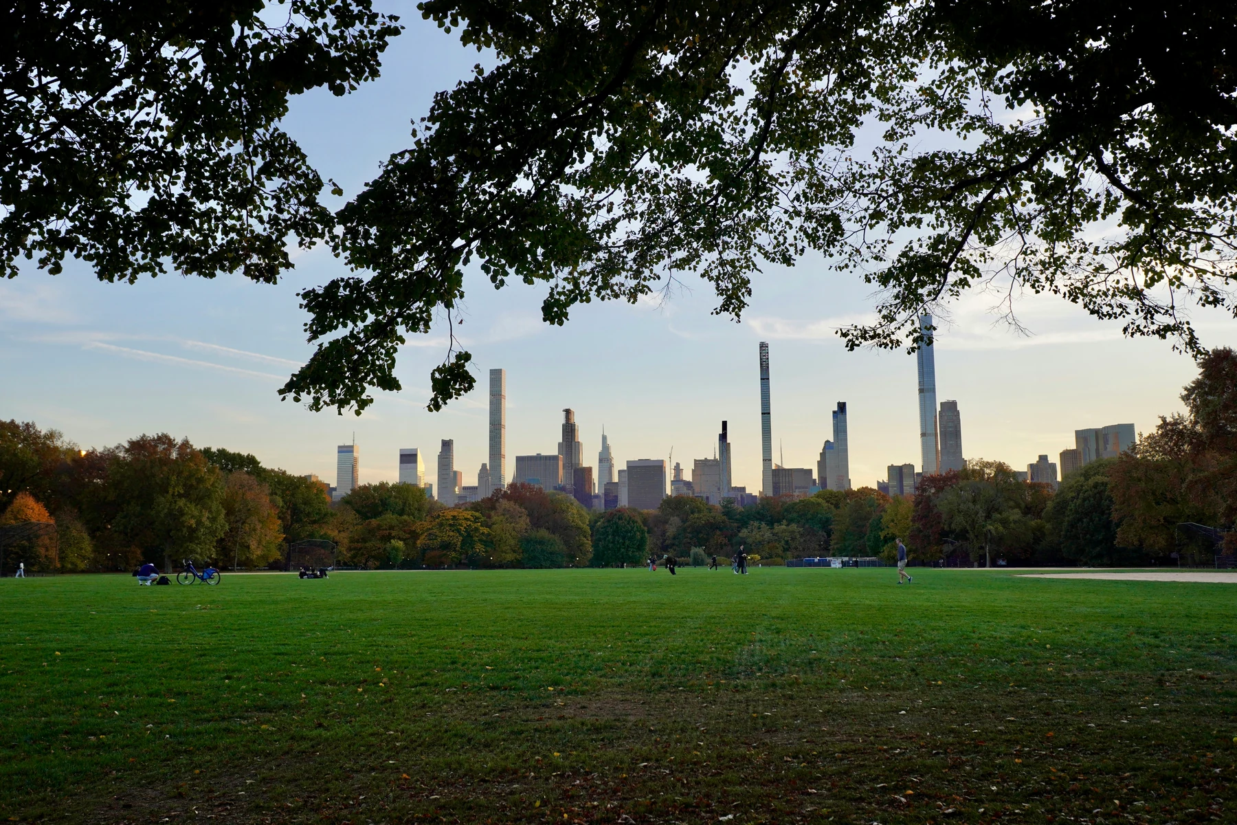 Central Park lawn beneath leafy branches with the Manhattan skyline beyond