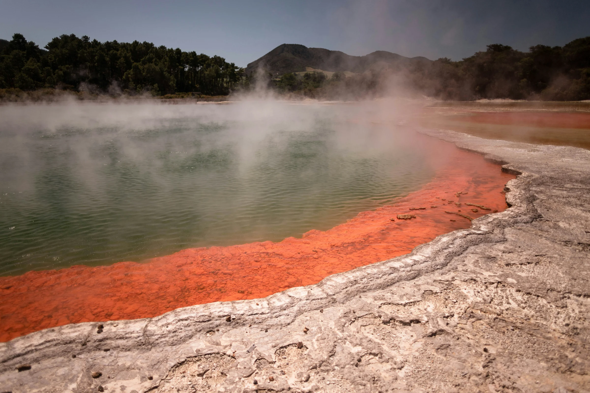 Steam rising above a geothermal pool with a vivid orange mineral edge near Rotorua