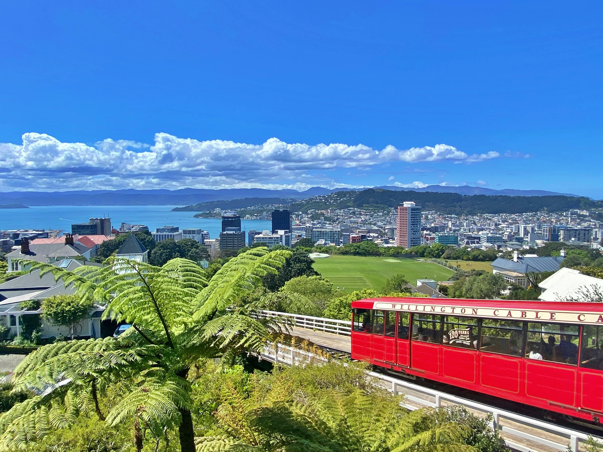 A red Wellington cable car above the city and harbour