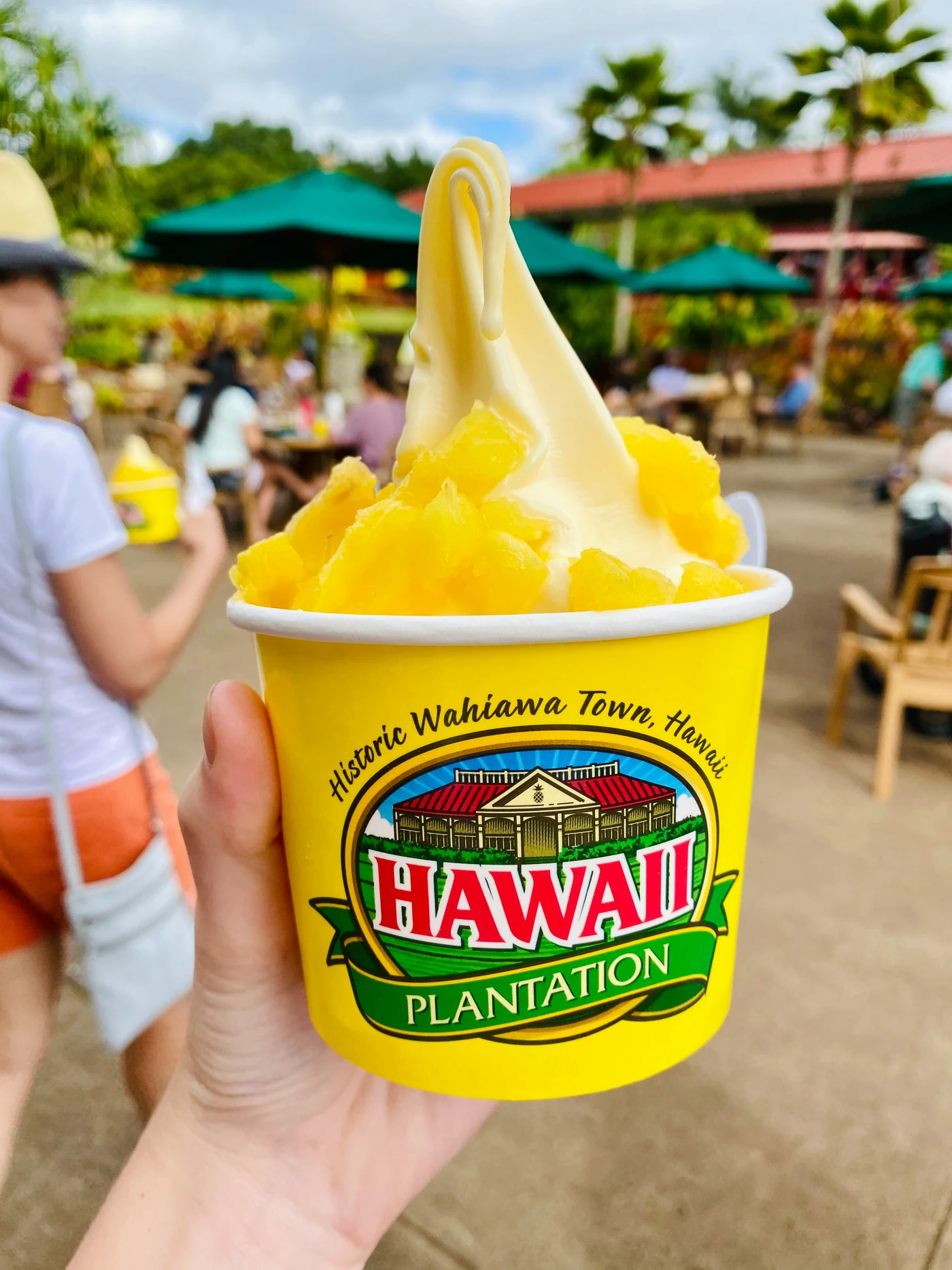 Pineapple frozen dessert at Dole Plantation on Oahu