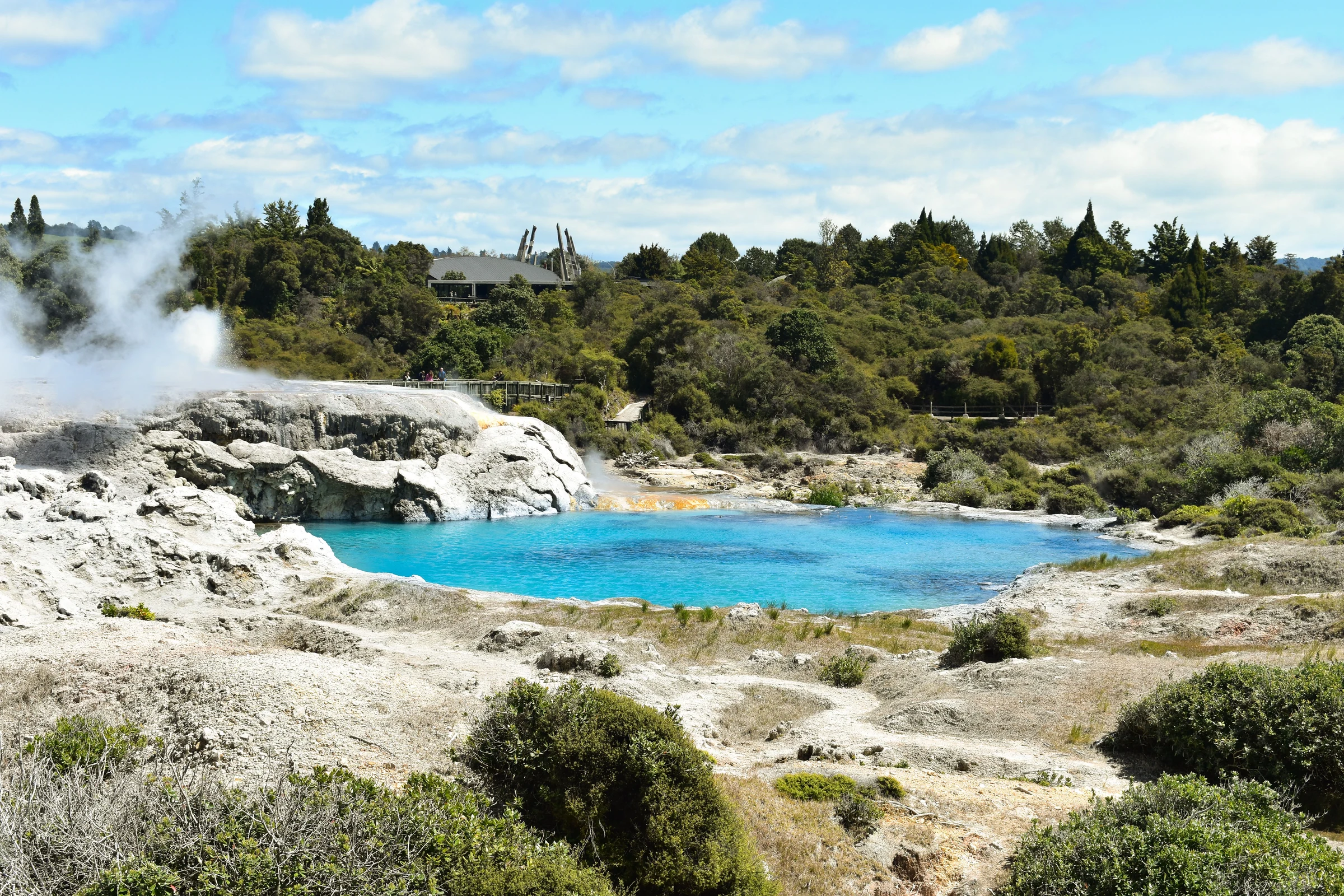 Geothermal pools and steaming terraces at Te Puia, Rotorua