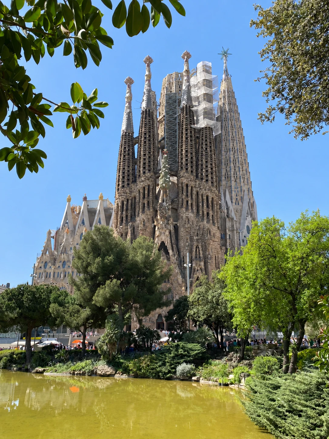 Sagrada Familia basilica framed by trees and a reflecting pond