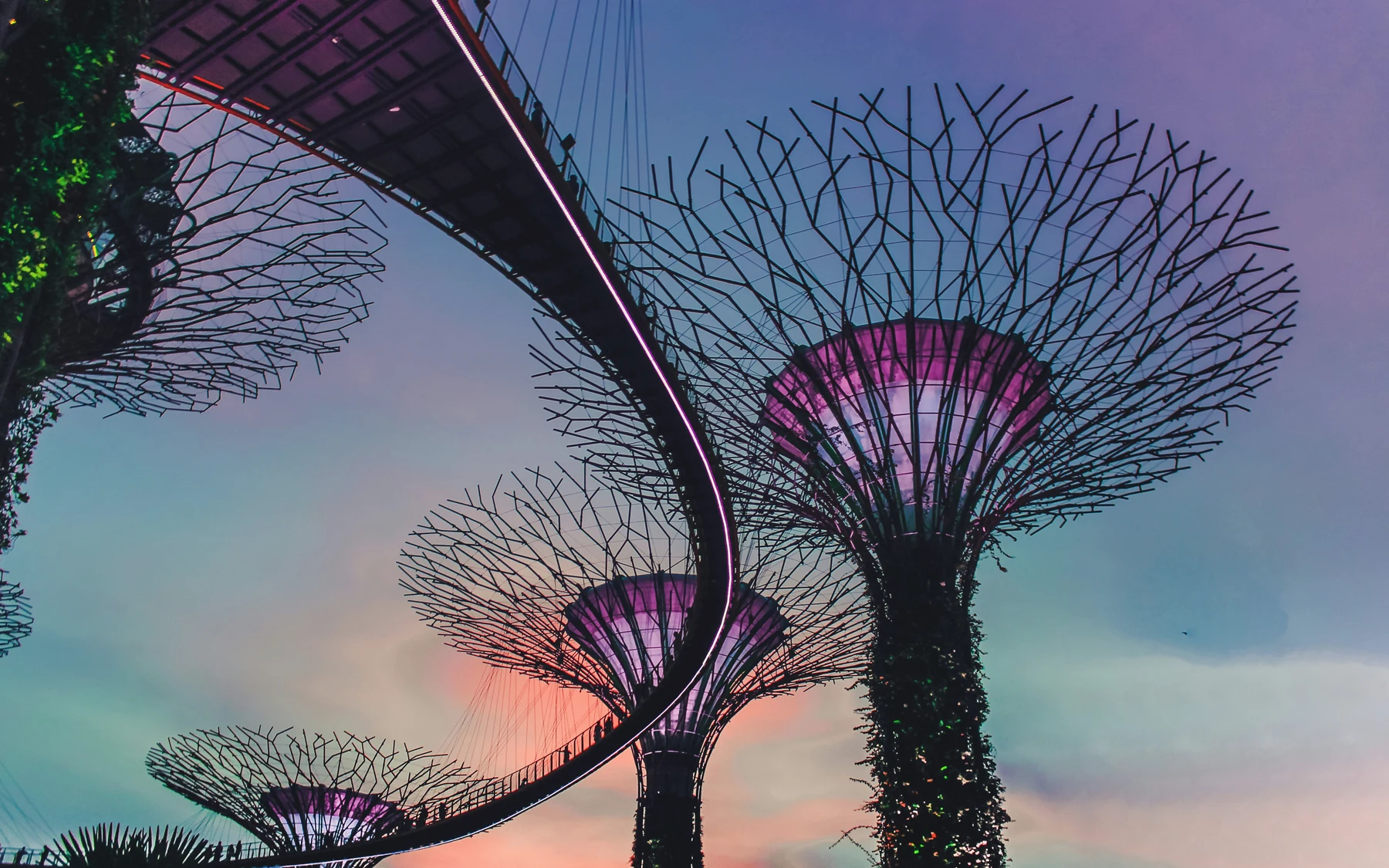 Illuminated Supertrees and the elevated walkway at Gardens by the Bay in Singapore