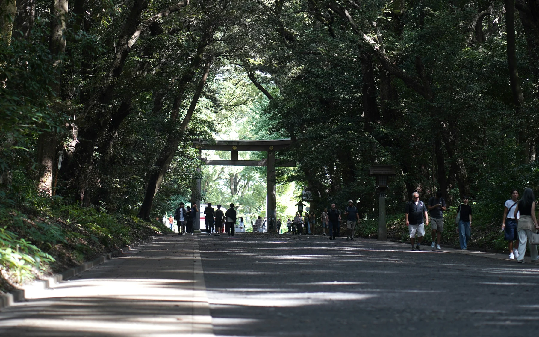 Wooded approach and torii gate at Meiji Shrine in Tokyo