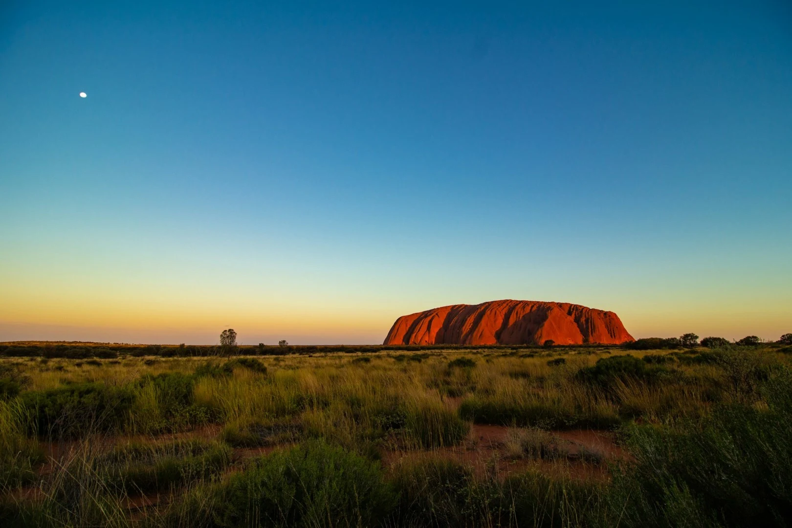 Uluru glowing red in evening light above the grassy desert landscape