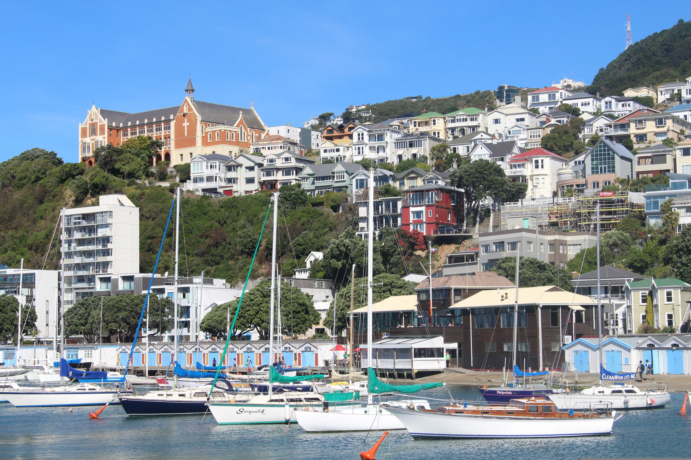 Sailboats moored along Wellington harbor below hillside homes