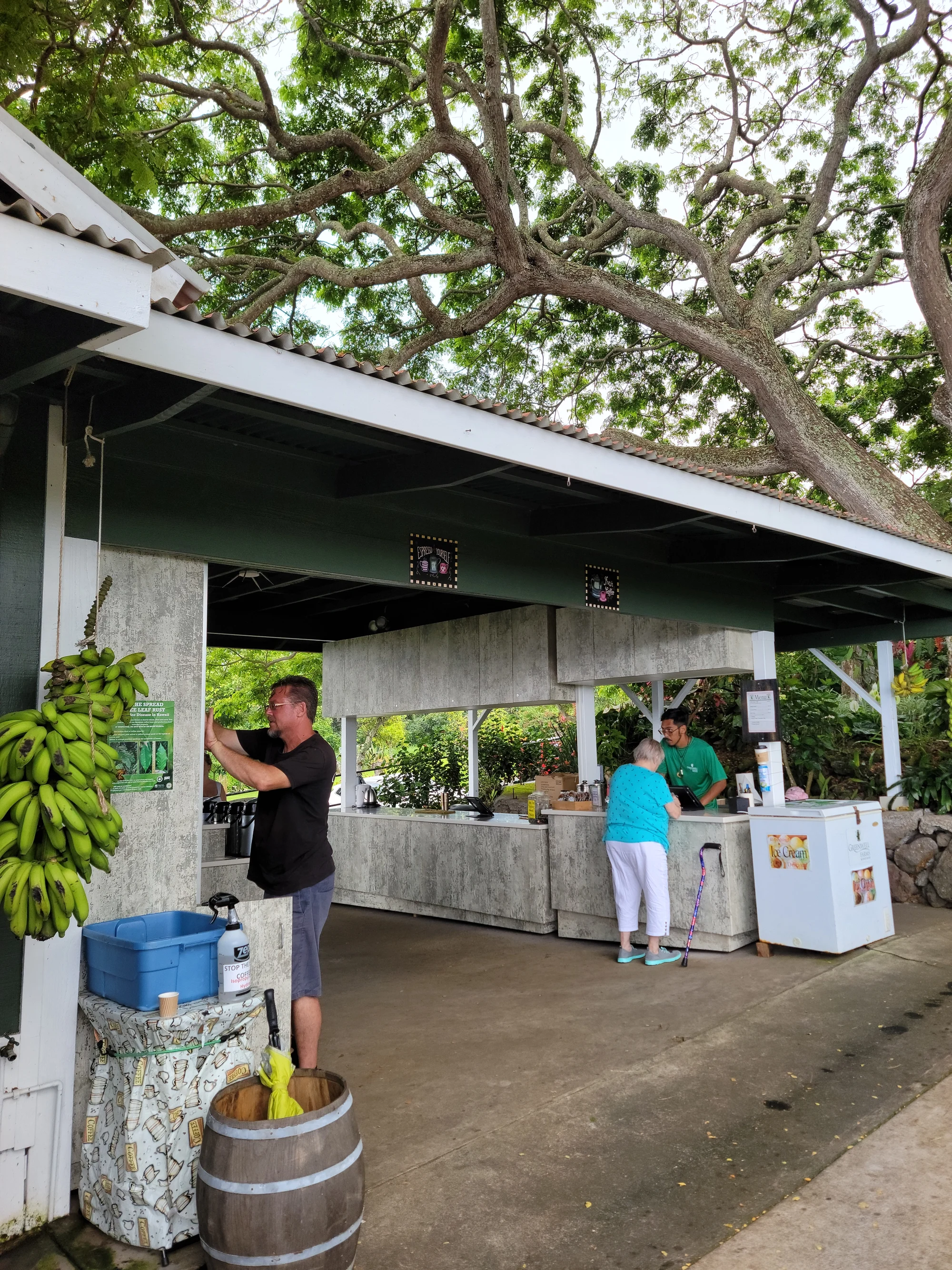 Visitors at an open-air coffee-farm tasting counter on Hawaiʻi Island
