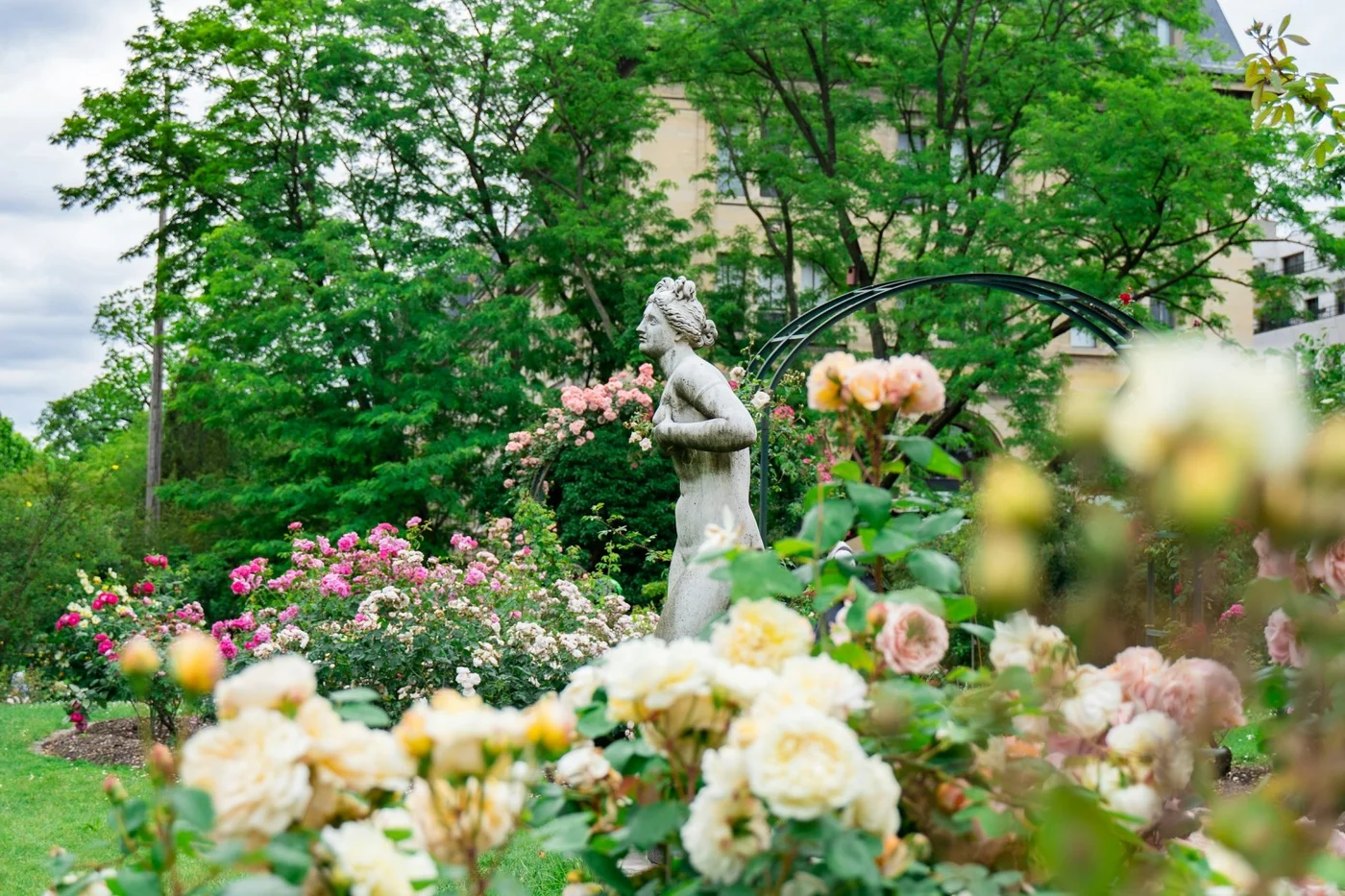 Roses and a sculpture in a green Paris garden