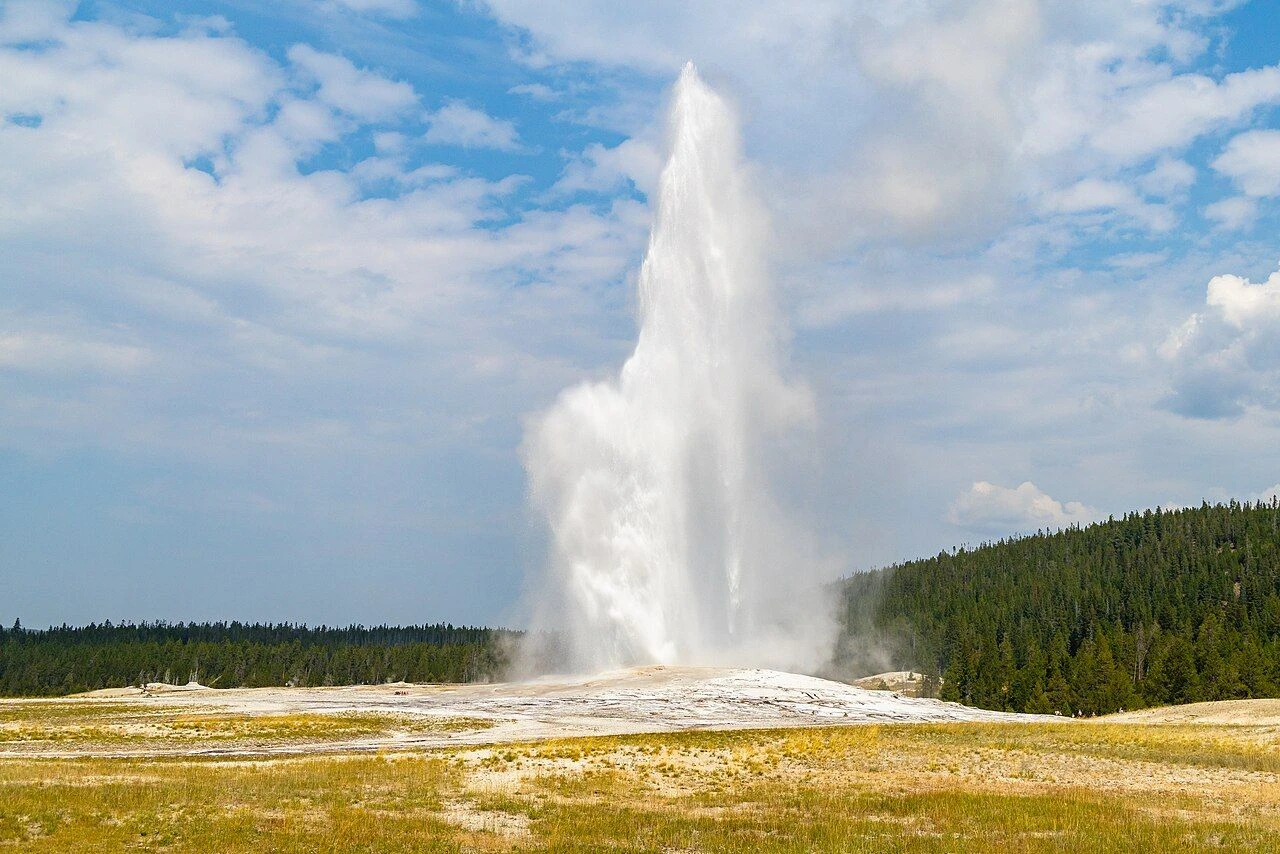 Old Faithful erupting above the geyser basin.