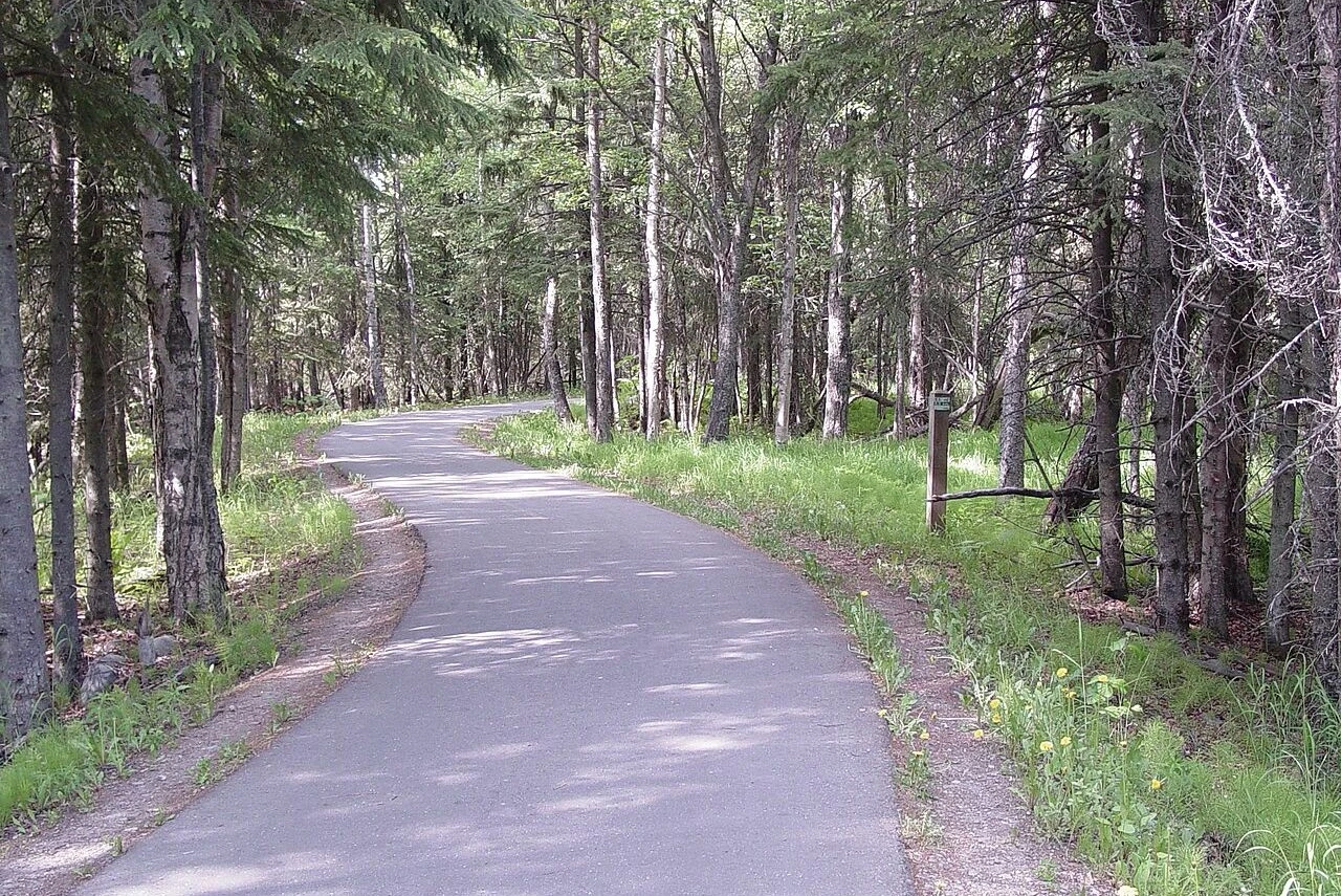 A paved section of the Tony Knowles Coastal Trail through woodland in Anchorage