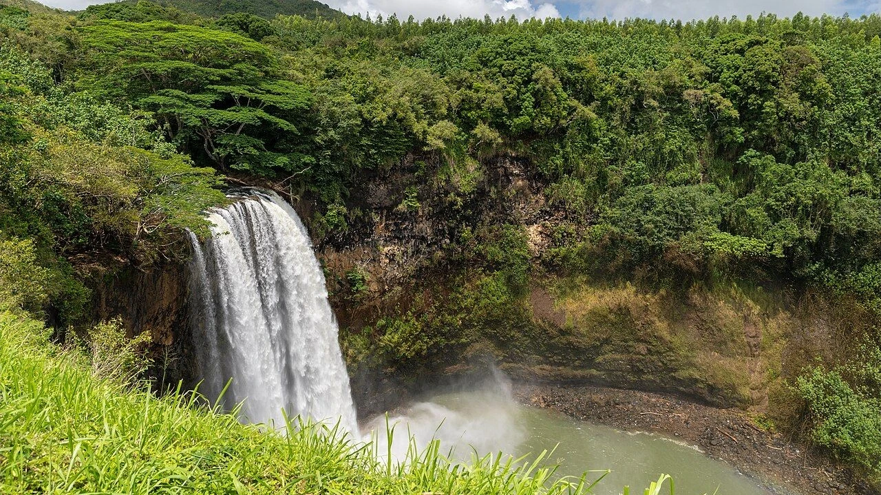 Wailua Falls on Kauaʻi flowing below a green forest rim.