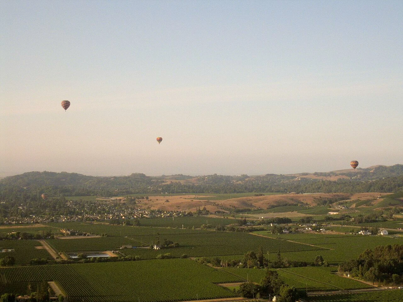 Hot air balloons above Napa Valley vineyards