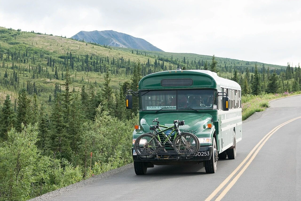 A park bus on the paved Denali Park Road, with forested hills behind.