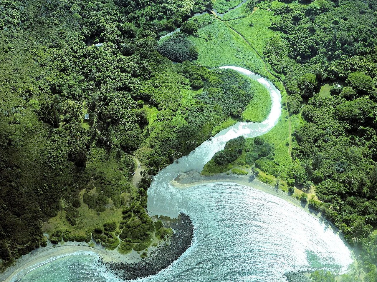 Molokai north-coast river and forest viewed from above