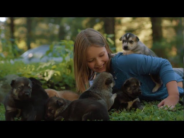 Visit Seward Alaska — video preview