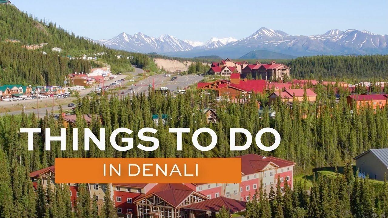 Exploring the Denali area — video preview