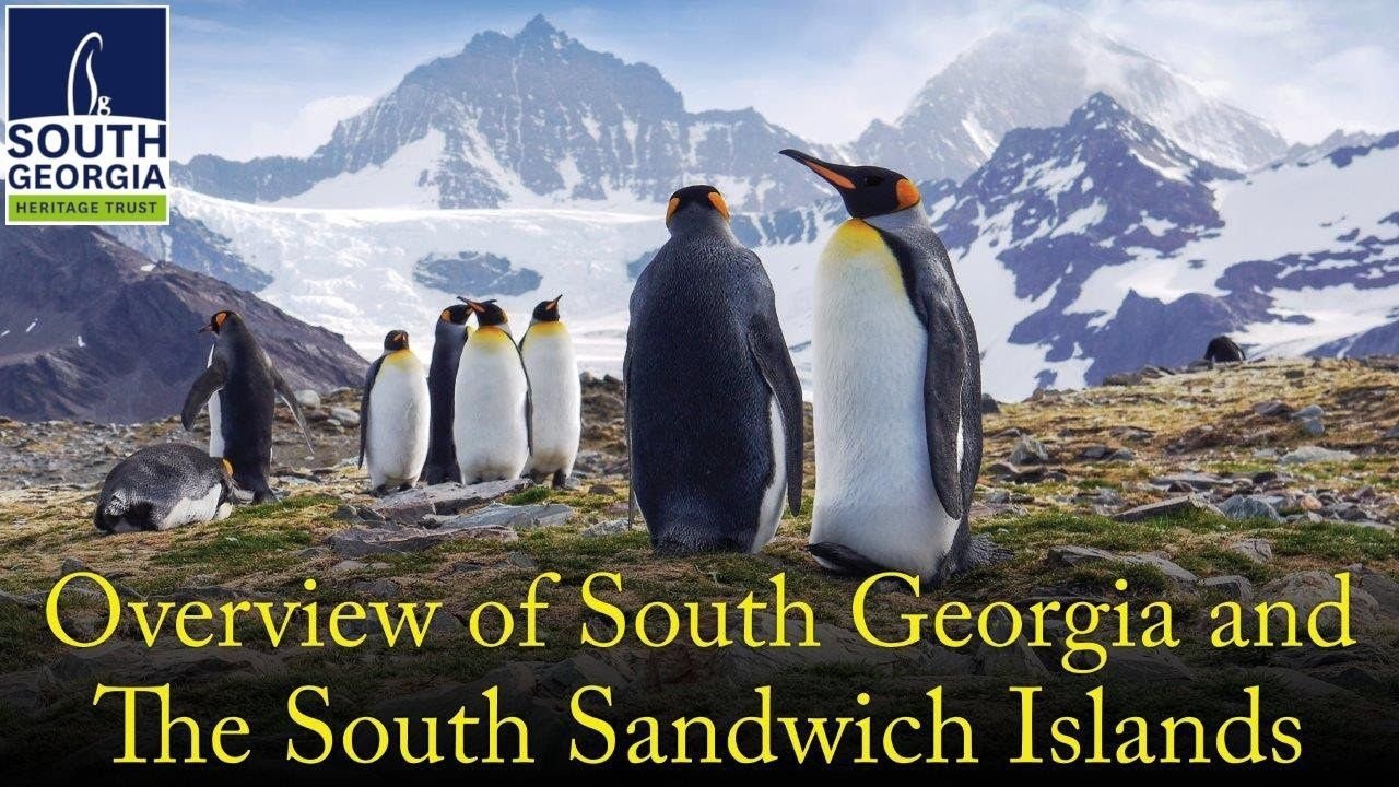 South Georgia and the South Sandwich Islands — video preview