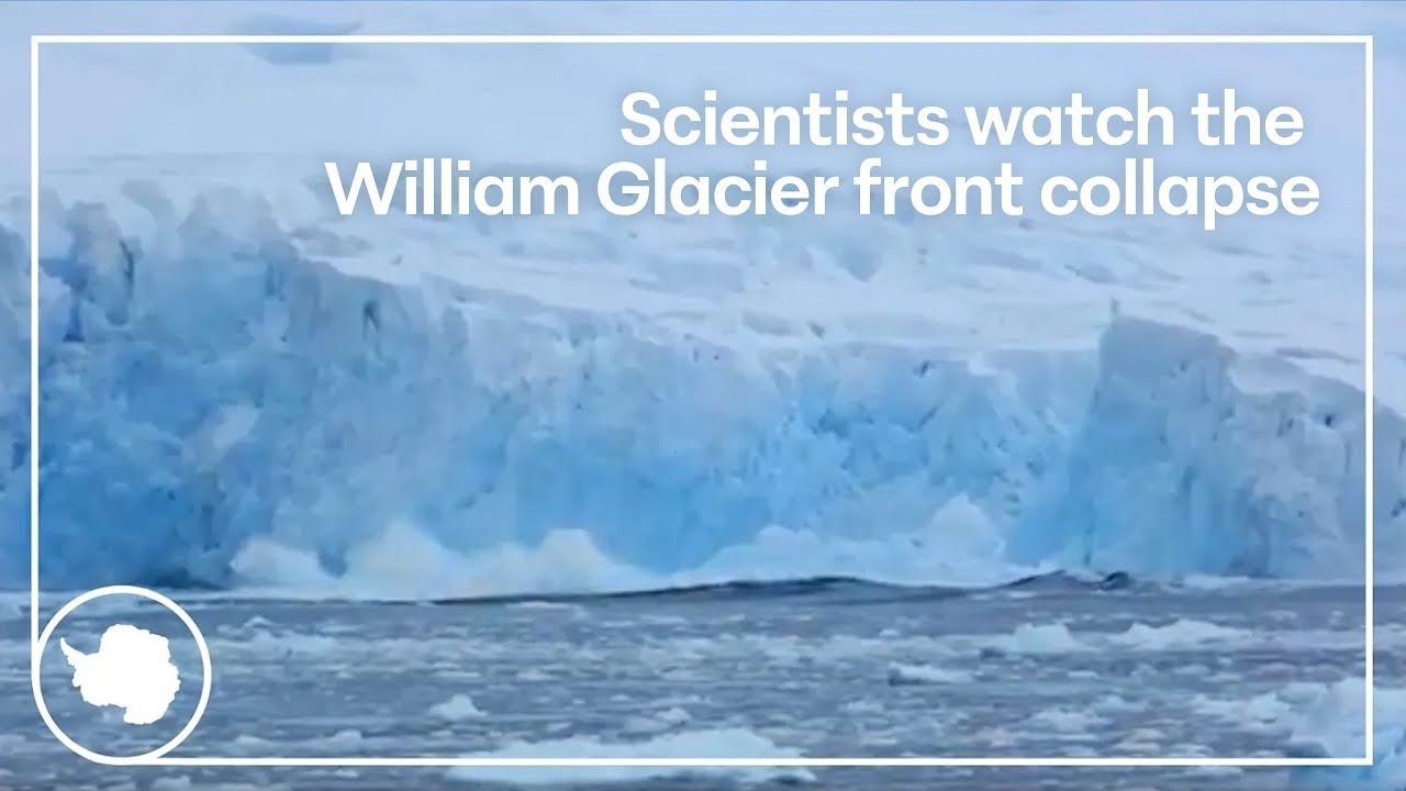 William Glacier research — video preview