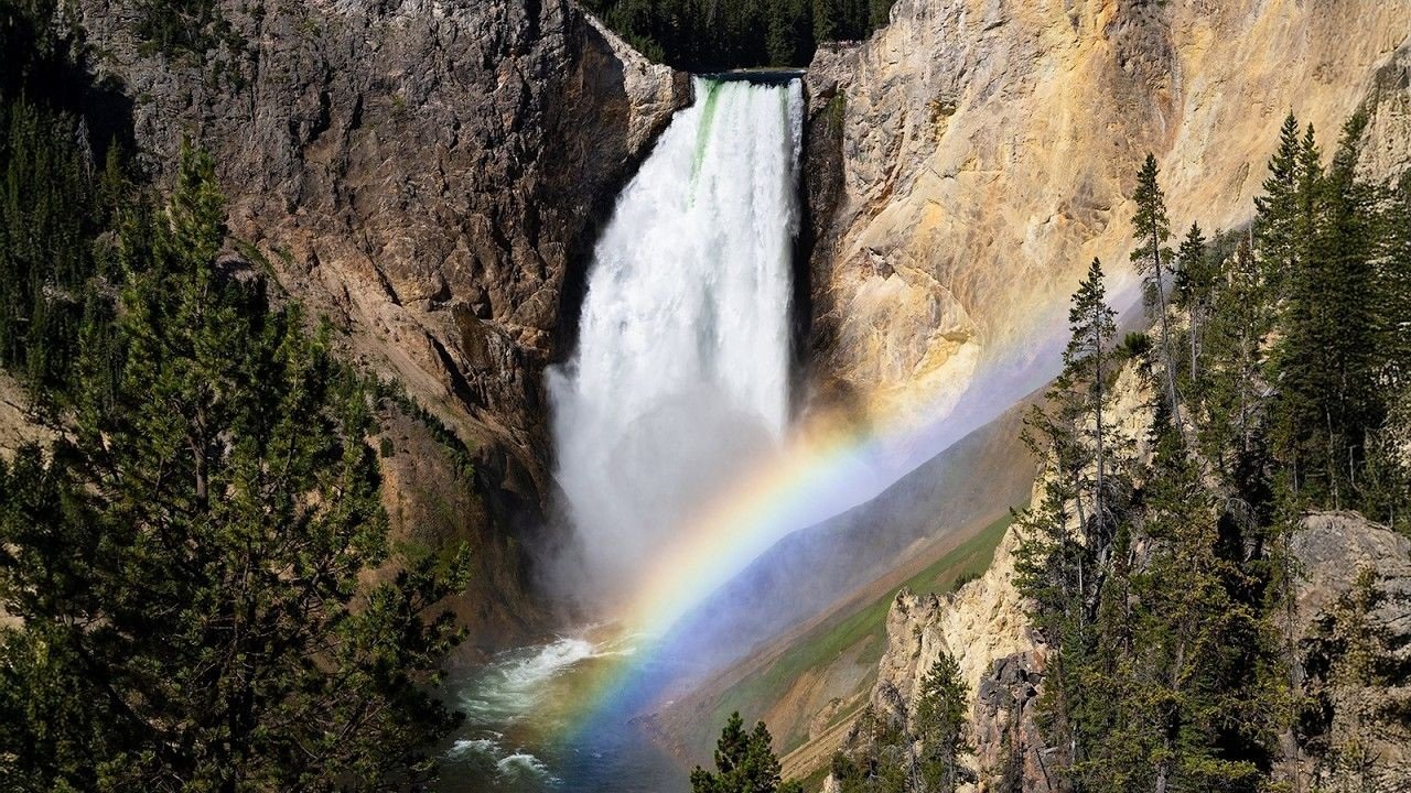 Yellowstone: 2025 Year in Review — video preview
