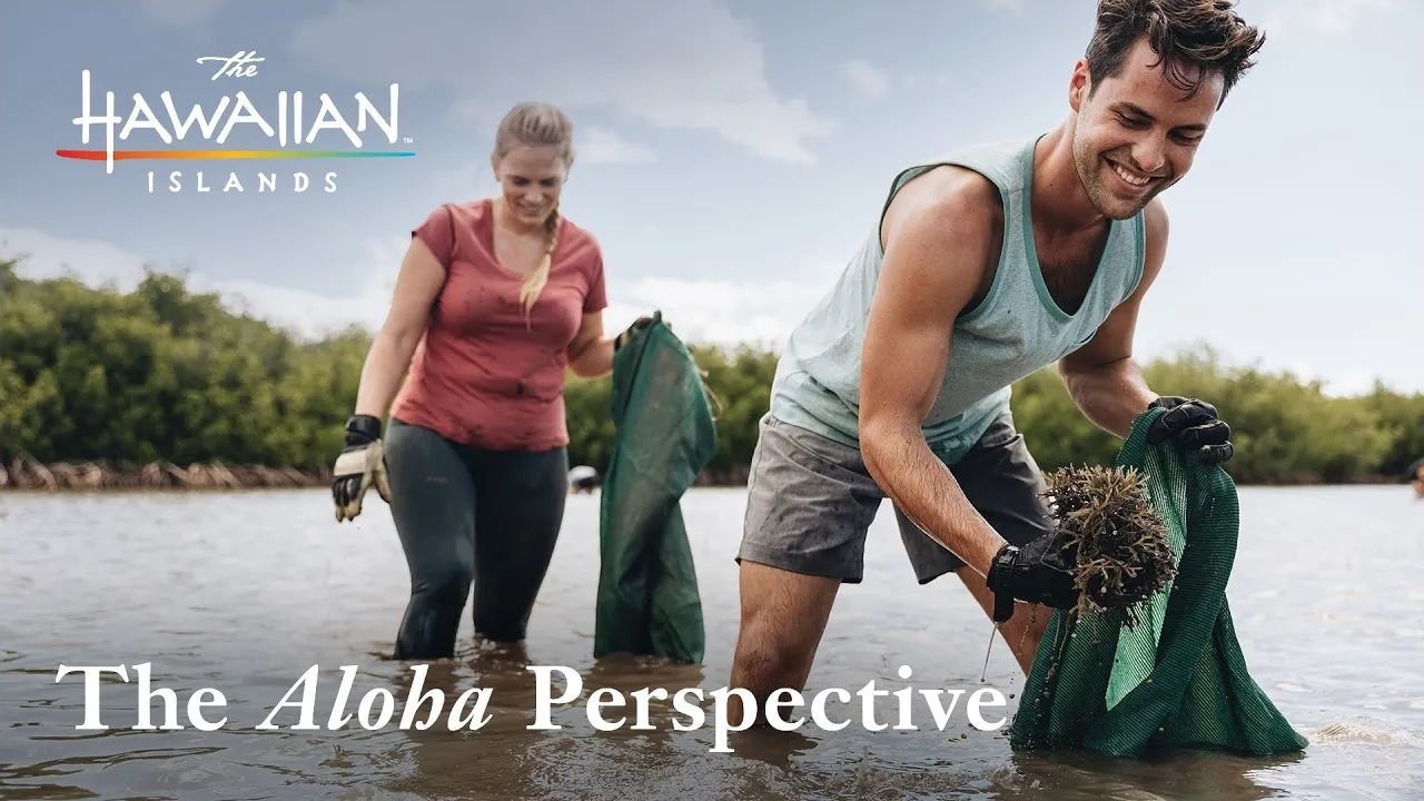 The Aloha Perspective — video preview