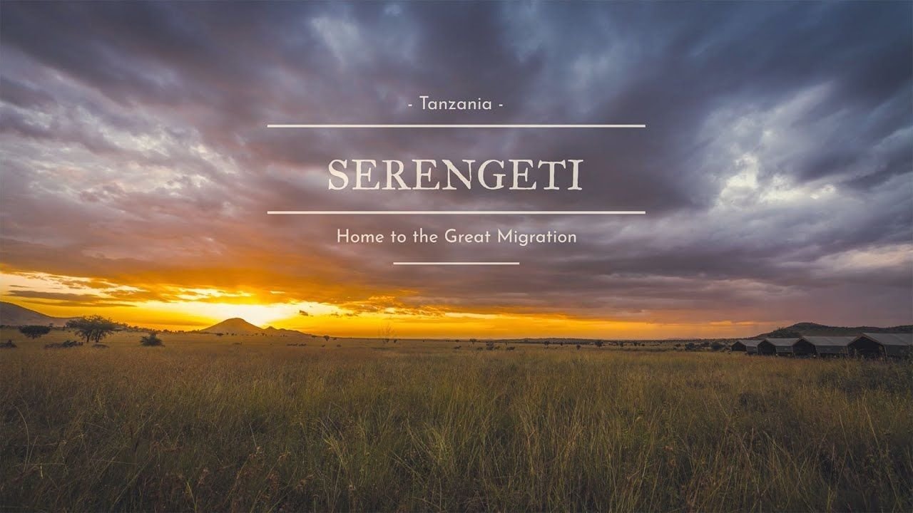Serengeti National Park - Tanzania — video preview
